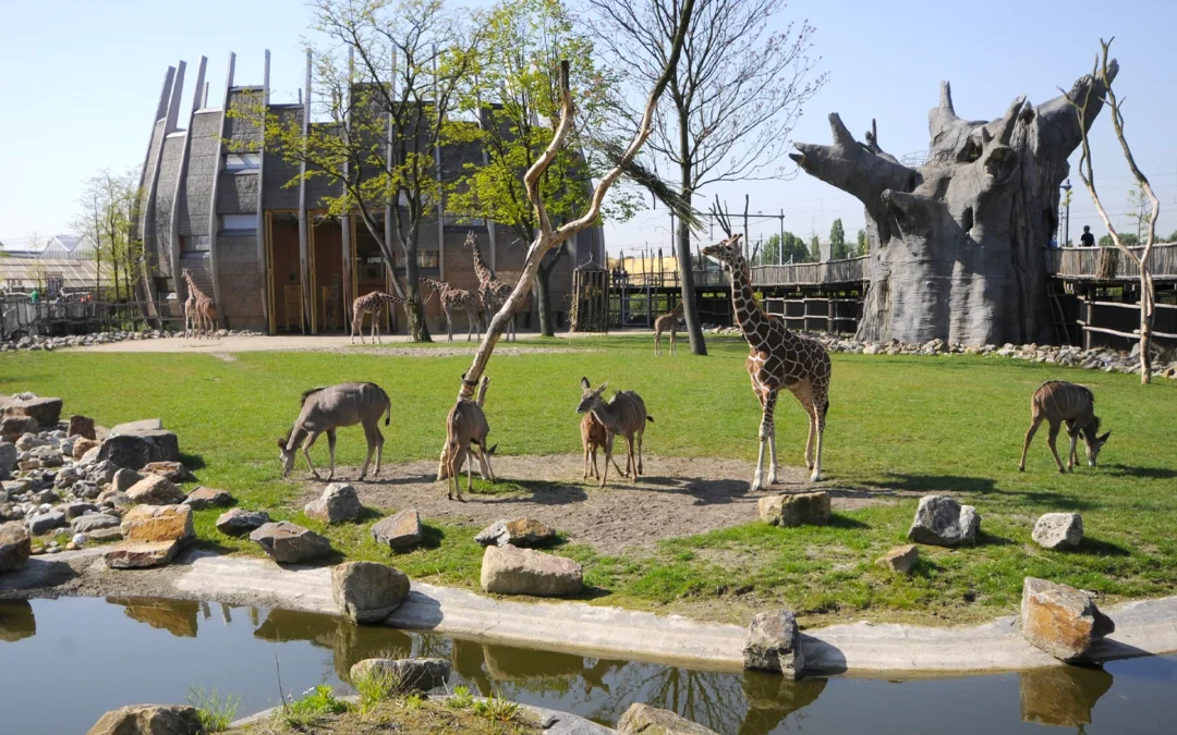 Diergaarde Blijdorp