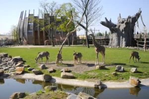 Diergaarde Blijdorp – Rotterdam
