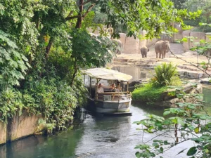 Wildlands Emmen – Emmen