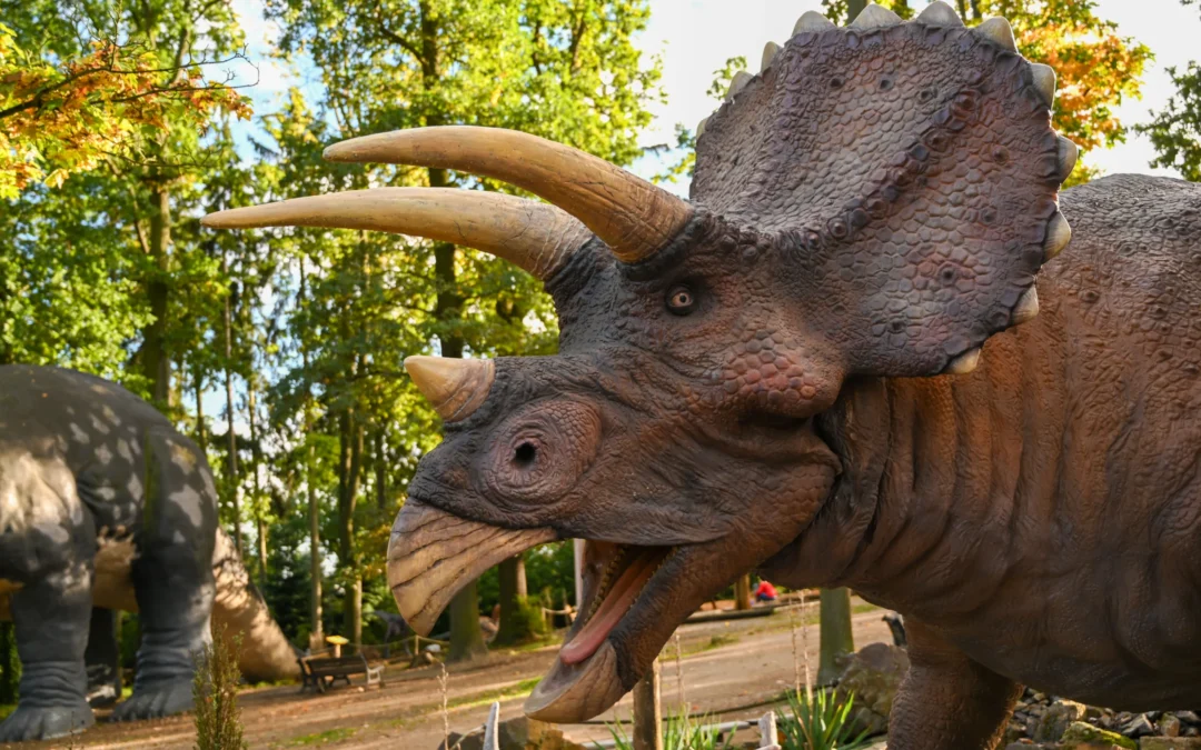 Dino Park