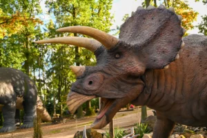 Dino Park – Gouda