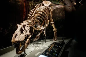 Naturalis – Leiden