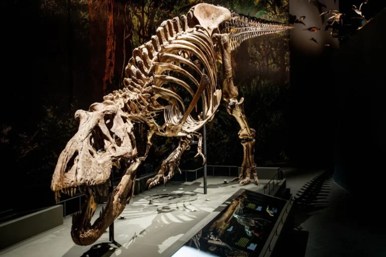 Naturalis – Leiden